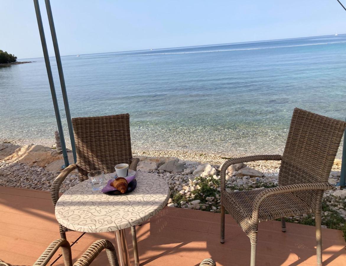 Ferienwohnung Sommer Novigrad Istria المظهر الخارجي الصورة