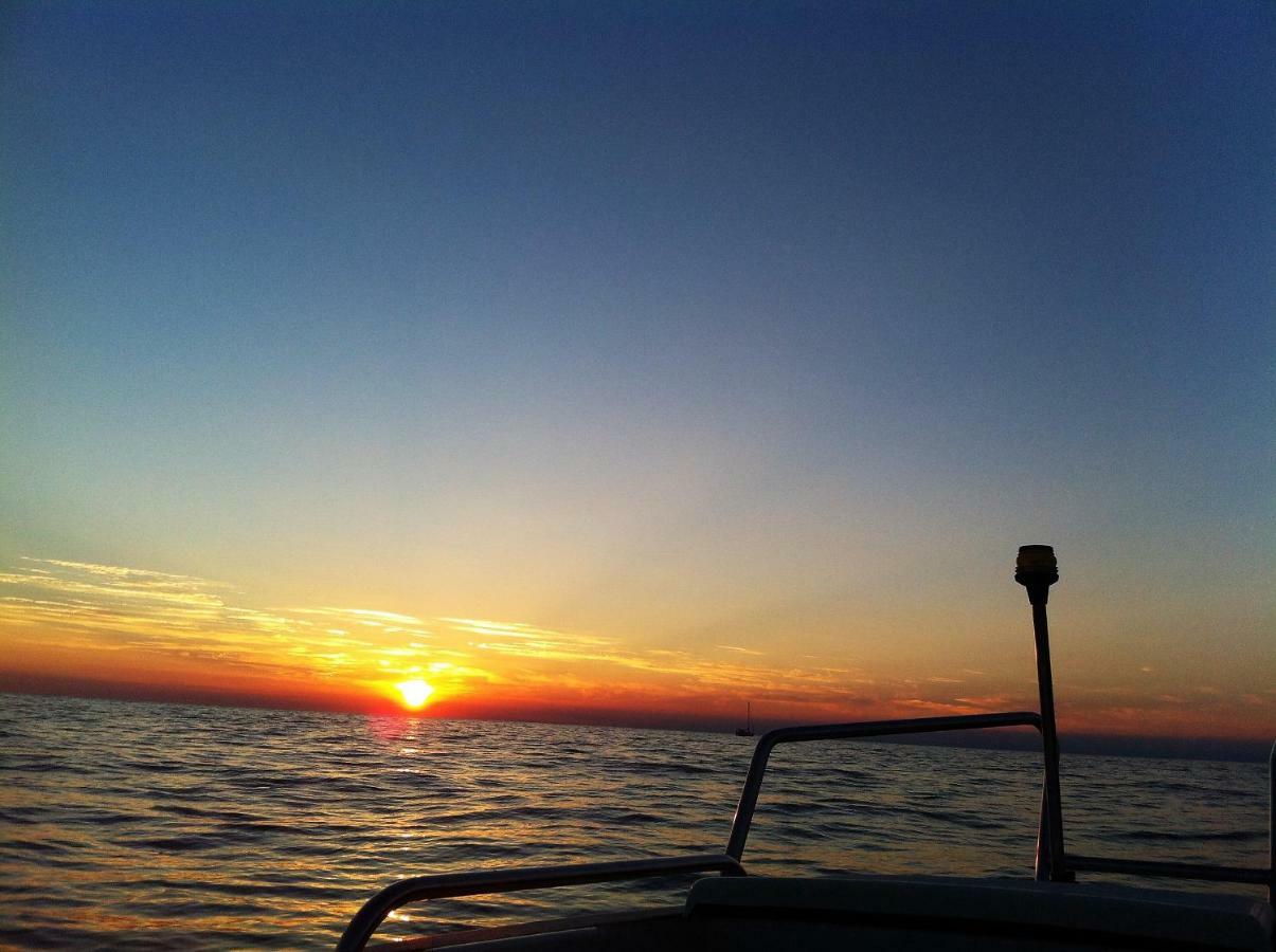 Ferienwohnung Sommer Novigrad Istria المظهر الخارجي الصورة